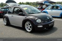 BEETLE (46)